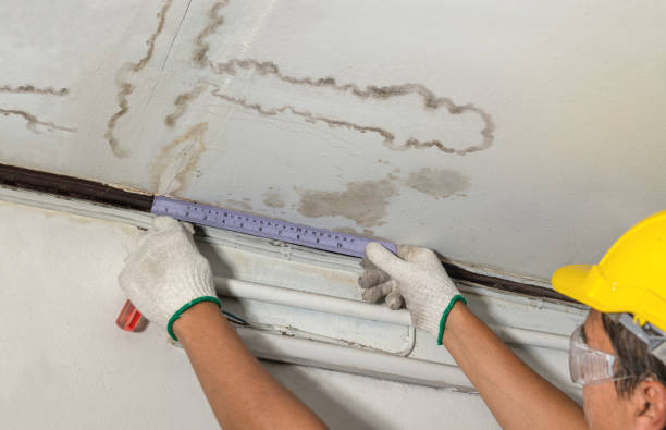 Affordable Ceiling Water Damage Repair solutions in Isle Au Haut, ME